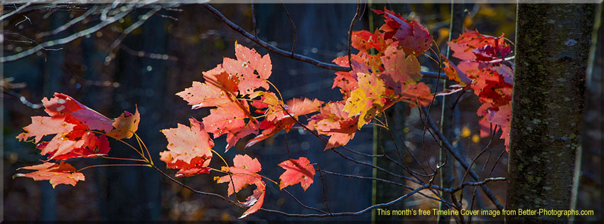 Better Photographs - Free Facebook Timeline Cover Image