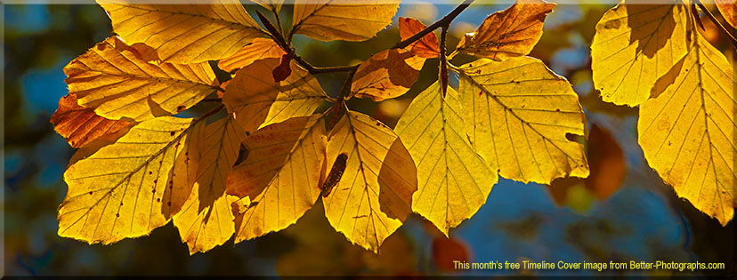 Better Photographs - Free Facebook Timeline Cover Image