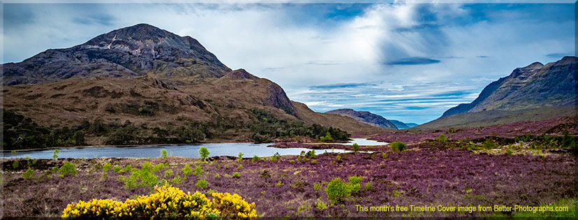 Better Photographs - Free Facebook Timeline Cover Image