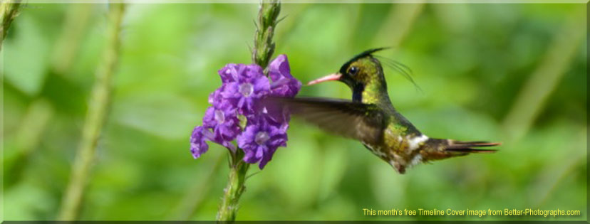 Better Photographs - Free Facebook Timeline Cover Image