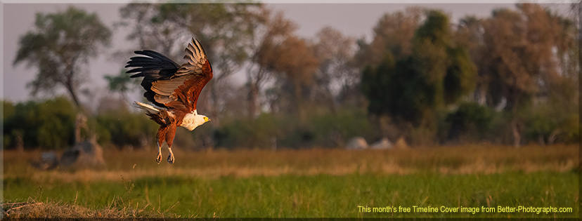 Better Photographs - Free Facebook Timeline Cover Image