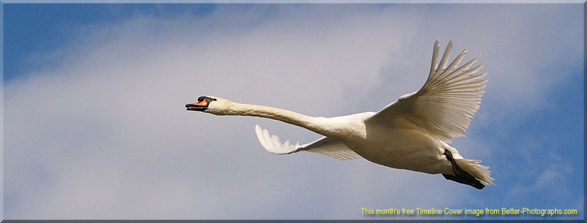 Better Photographs - Free Facebook Timeline Cover Image