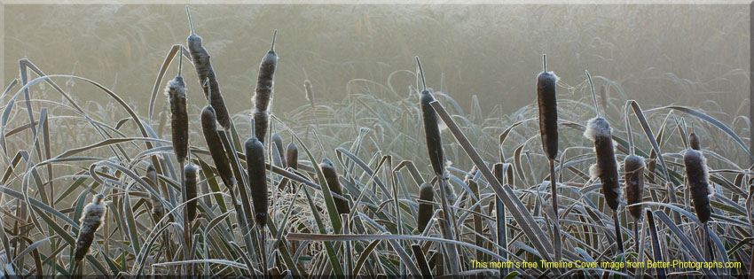 Better Photographs - Free Facebook Timeline Cover Image