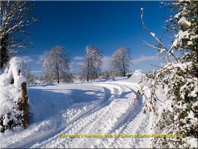 Snow Photography