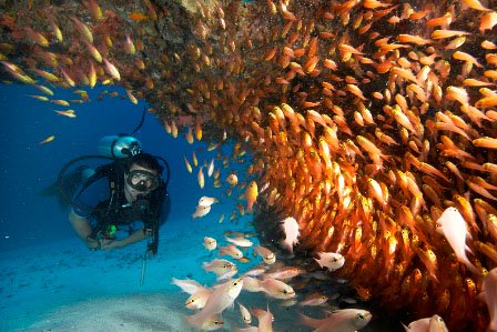 Underwater Photography